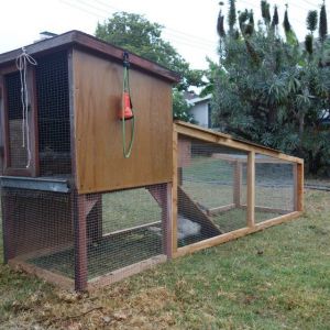 This is the first coop and run I built, a movable one, built in summer 2014 for the little classroom chicks I got. I added a run and a ladder to a rabbit hutch I had gotten from someone. One chick got out of a make-shift pen before this little Inn was completed, and our dog got that one. Then another chick turned out to be a rooster, who went to a farm. That left one pullet, a pretty gray easter egger which I named Deedee. I bought her three friends, a white leghorn, a black star, and another easter egger.