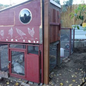 The new coop is all sealed up! Also, the posts for the door to the chicken yard are in.