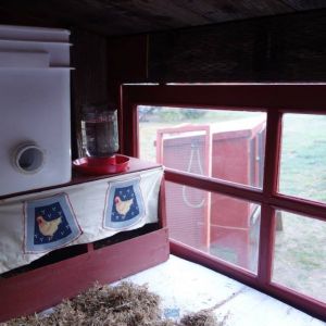I had read that hens like curtains in front of their nesting boxes. I sewed them some curtains, using some chicken fabric I had!