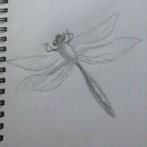 Dragonfly