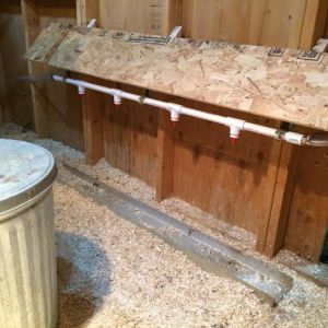 Watering Nipples in the Coop