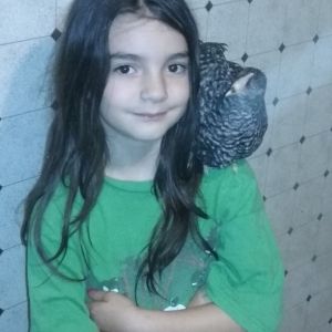 Isabella and a Barred Rock in our coop