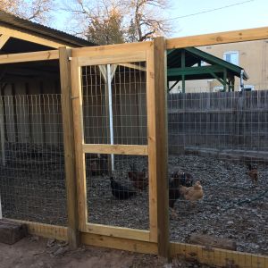 New gate from outside the run