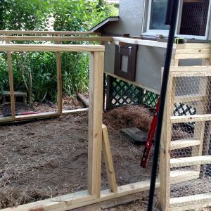 attached run before fencing was added, the coop is raised 36" to give additional shelter in summer and during rain