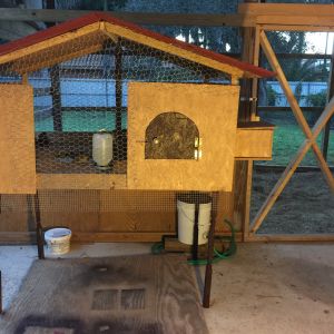 Quail coop. 

Length: 4' 7"
Width: 3'
Bottom is half inch hardware cloth
Side mesh is chicken wire