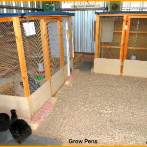 Grow Pens