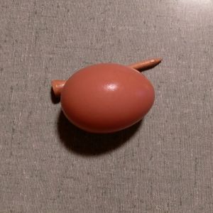 First brown egg!