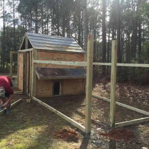 Building another coop for a buddy.