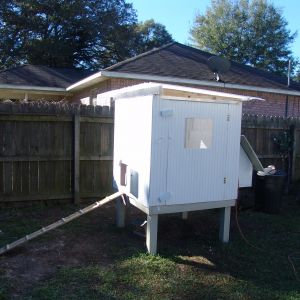 My finished coop its 4 x 4 x4 with a nest box and 24" off the ground.