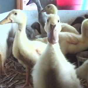 Posing for the camera