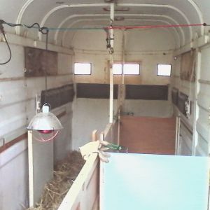Horse trailer converted into a duck house.