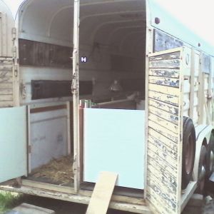 Horse trailer turned duck house