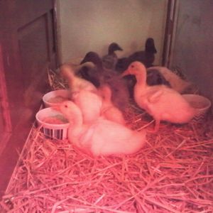 Getting to know the new sleeping quarters.