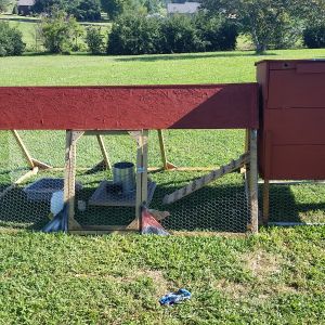 My First Coop
