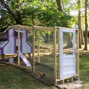 My daughters boyfriend and I designed the coop. He built, with some help from his  dad, this gorgeous coop.