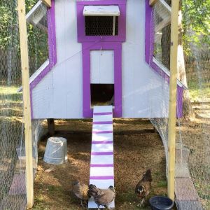 This is the front entrance of the coop pictured from  inside of the run which is 4' w X 15' l.