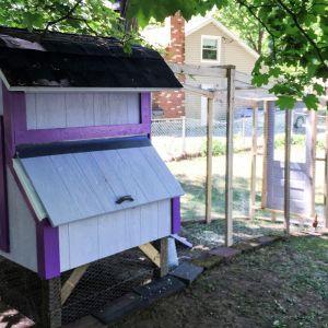 On this side of the coop I have a large storage area for feed, tools, and other chicken needs.