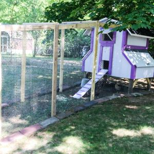 As you can see the house is shaded by a good sized maple tree so the girls never are exposed to excessive sun and heat.