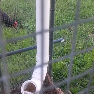 Our new feeder.