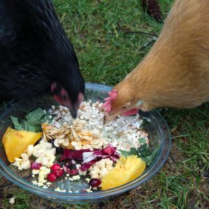Chow down!