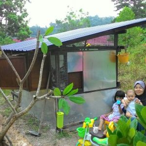 Me, wife, little daughter & baby....of course our little jack fruit & frangipani flower tree in action. ;)