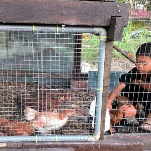 This is the 'Java+German = Javaman' breed that I'm jokingly told my wife