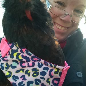I had some fun with my girls and put them in dog harnesses. Drunk Mario liked the leopard print.