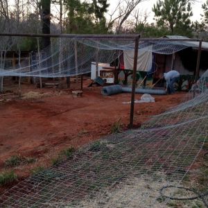 Hanging roof wire and fencing.  Done for the day.