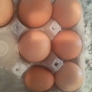 compared to eggs from grocery store
