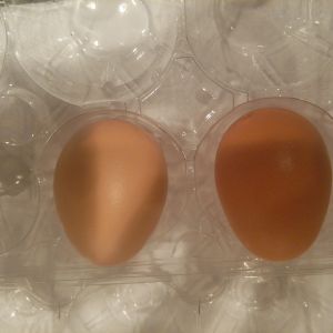 first 2 eggs