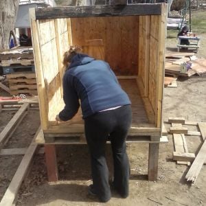 my wife helping with the coop that started from a 12 foot pallet