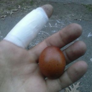 a gag egg i received from a friend
