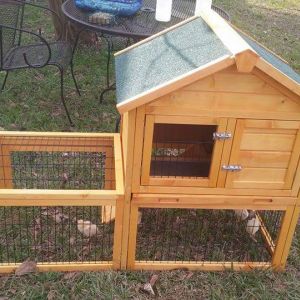 My little chicken coop. Smaller than I thought it was when I bought if online so I'll be upgrading soon.
