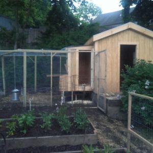 View of my shed, greenhouse, garden, coop and run, almost done.