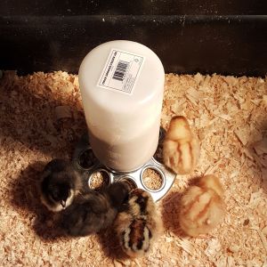 Getting to know there home for the time being.