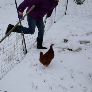 ummm.... well I fell trying to step into the run..  I think Red wanted to catch me