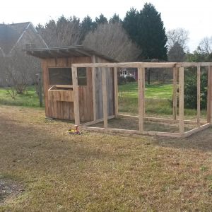 Coop is 4x8 feet and run is 8x12 feet. and 7 feet tall. I wanted to walk in it and I'm 6 foot 2.