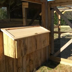 Nesting box and front of coop.