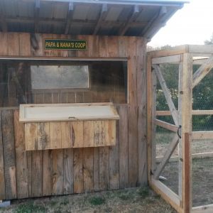 Front of finished coop.
