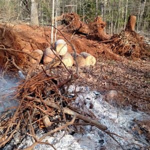 Brush & debris burning, widen padsite