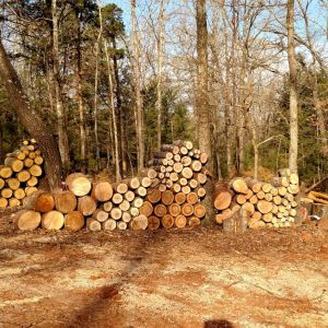 Yes, plenty of chainsawing, separating and stacking wood.