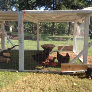 The 4' tall run (the right side) with wheels.  Just have a sheet over the top of coop to keep hot sun off them, and to make it harder for the hawks to see them.