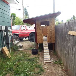 chicken run and coop
