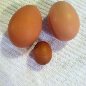 things that make you go hmmmm.....