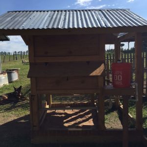 Water system and nest box (I plan on modifying the system to be able to receive rain runoff.)
