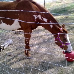 Reba having fun