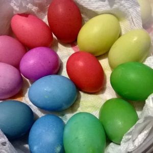 Easter eggs, some white some brown