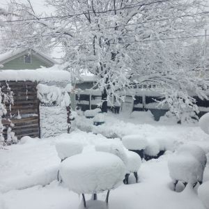 Blizzard March 23, 2016 - 17 inches