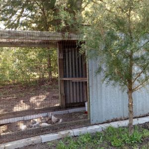 Small, simple and over 10 years old.  Home made chicken coop.  My closest friend that I took the gold & silver fawn duckwings bantams to renewed and spruced up old coop for new babies.  I really like the little coop.  I would call it a utility coop.