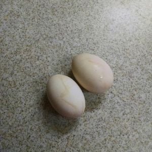 Our first Bantam eggs. She started laying Easter Day. I thought that was neat!